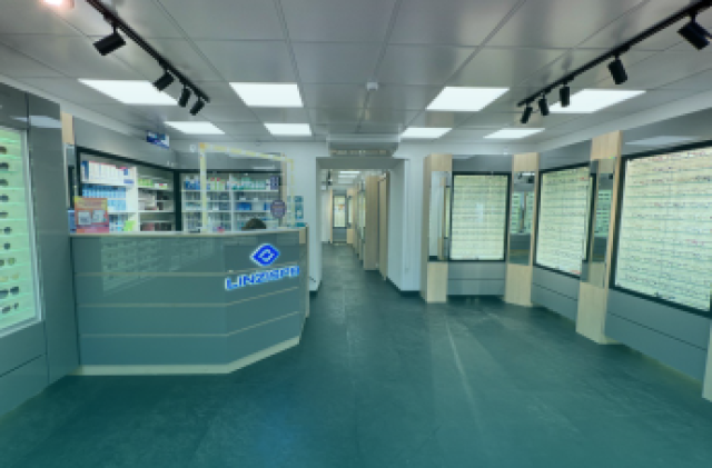 О сети LINZISPB